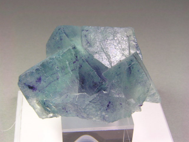 osf v601.jpg