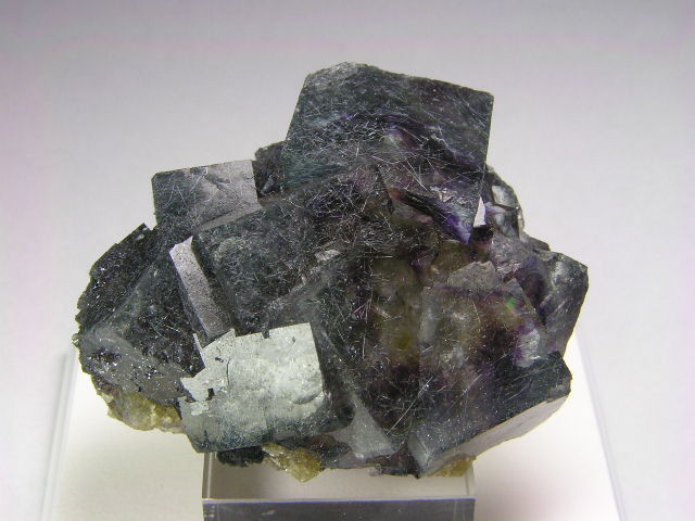 osf v605.jpg