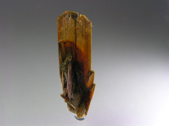 osox 702.jpg