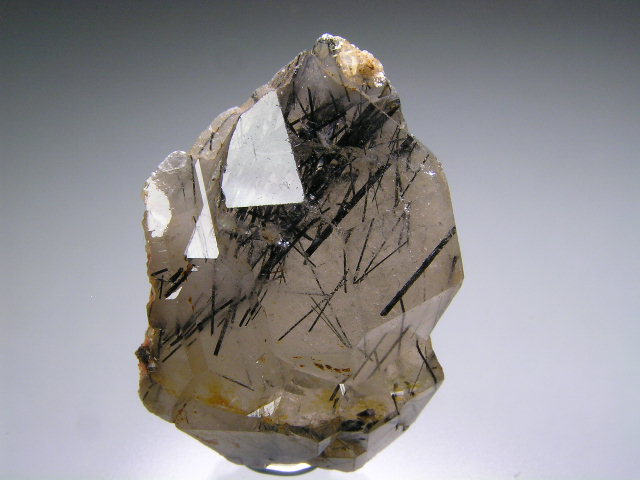 osq 981.jpg